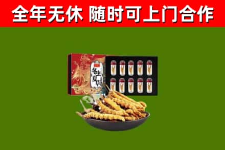 北京市回收冬虫夏草价格